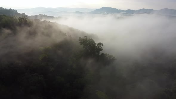 Aerial rotation view white morning fog cloud