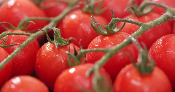 Red cherry tomato