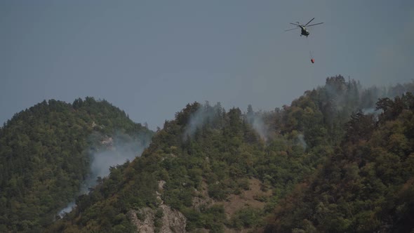 Fire in the forest. Strong fire and mist in the forest