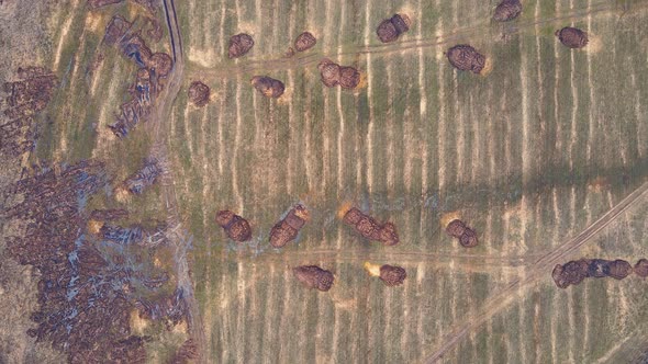 Manure Heaps in the Farmer's Green Field Lie Chaotically