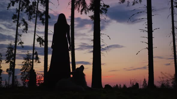 Woman and a dog, at dusk