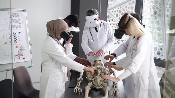 Mixed Race in Medical clothes Study the Structure of Man on the Skeleton with Using Glasses VR