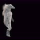 63 White Horse Dancing 4K - VideoHive Item for Sale