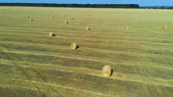 Aerial Shot of Hay Bales Collected on Farmland Field