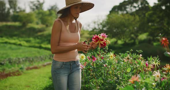 Young woman picking colorful flowers alt