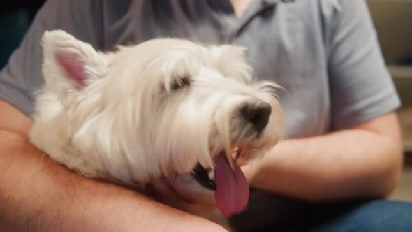 Man Petting His Dog Closeup