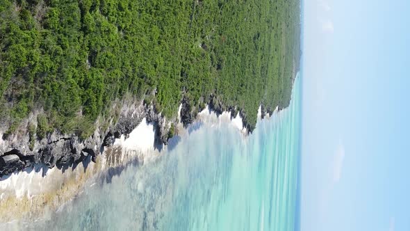 Zanzibar Tanzania  Ocean Shore Covered with Green Thickets Vertical Video Aerial View