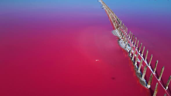 Flying Over Pink Salt Lake