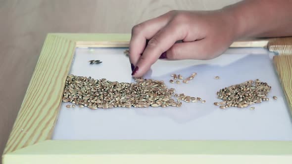Manual Control of the Quality of Grain