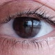 Macro shoot on dark brown eye and eyelashes - VideoHive Item for Sale