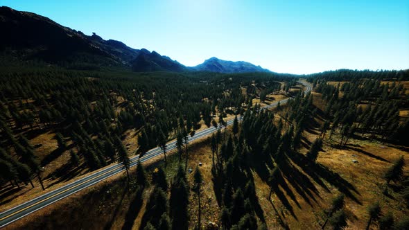 Aerial View of Mountain Road and Forest