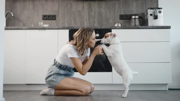 Pet Owner Plays and Trains a Funny Dog