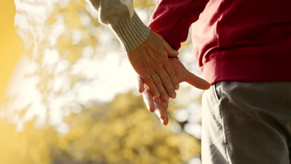 Closeup of an Elderly Retired Couple Holding Hands in a Park