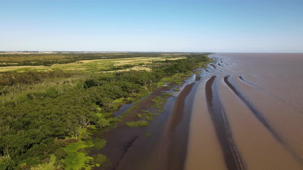 Backward drone shot along sandy forested coast of Rio de la Plata