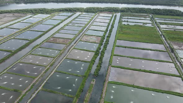 Prawn Fish Farm Aerial