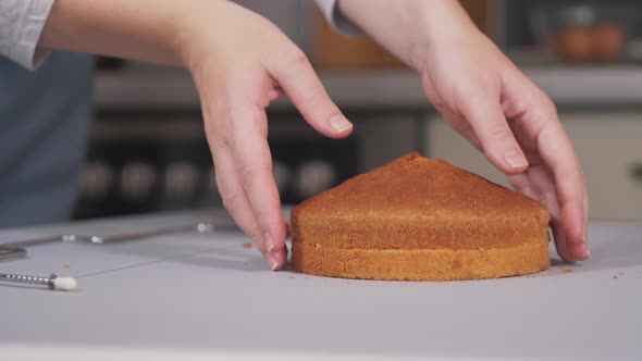 Pastry Chef Uses a Special Cutter To Cut the Baked Cake Into Even Layers