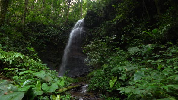 Jungle waterfall in the amazon.