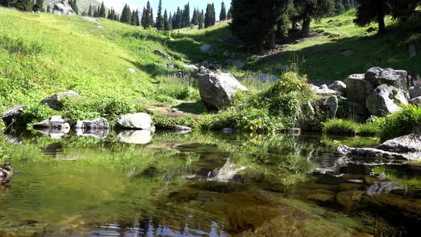 Mountain Clear Water of Stream and Green Fields