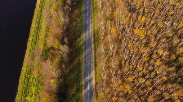 Road in the Autumn Forest Aerial View