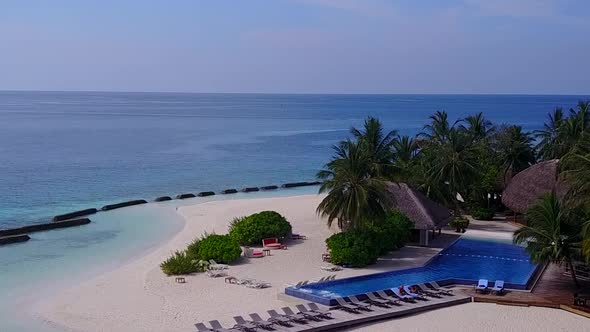 Aerial drone landscape of seashore beach wildlife by blue sea with sand background