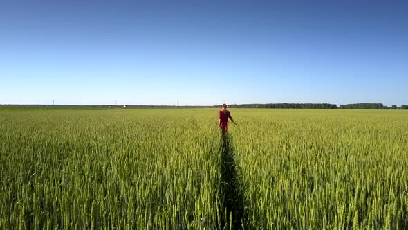 Woman in Red Dress Crosses Boundless Commercial Field