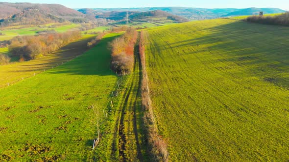 flight along a hiking trail in the fields on a sunny day