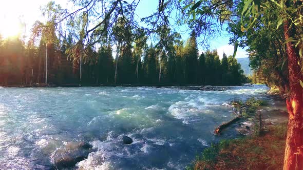 Meadow at Mountain River Bank. Landscape with Green Grass, Pine Trees and Sun Rays. Movement on