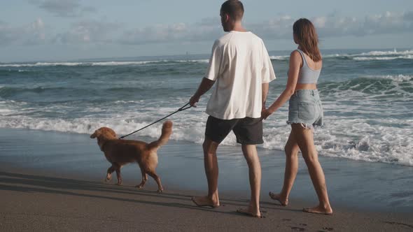 Walking Dog Along Sunny Ocean Coast