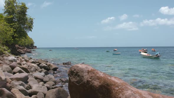 Tropical beach coast view (Martinique, France)