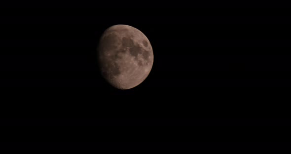 View Moon Floats Across the Night