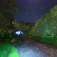 A Butterfly That Shines With Fireflies And Flies Over A Beautiful Forest (3) - VideoHive Item for Sale