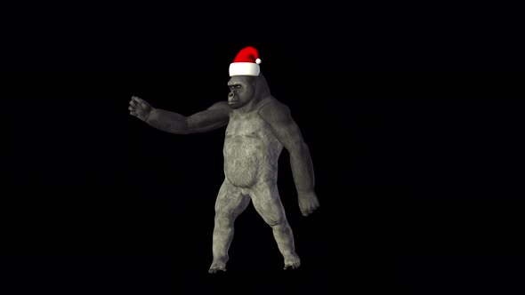 Gorilla 4K Christmas Dance