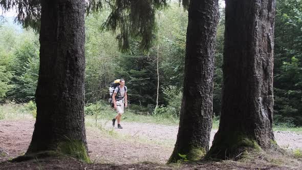 Tourist with a Backpack Walking Up Along the Mountain Trail in the Forest.