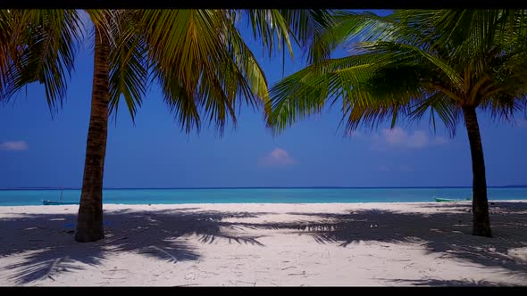 Aerial drone abstract of tropical seashore beach wildlife by clear sea and white sandy background of