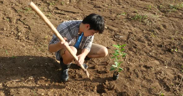 Asian Man Digs A Hole To Plant A Tree