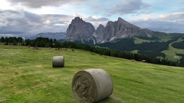 Bale of hay and cut grass in the mountains