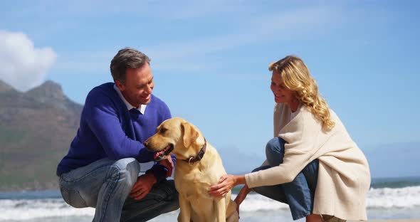 Happy mature couple petting their dog on the beach