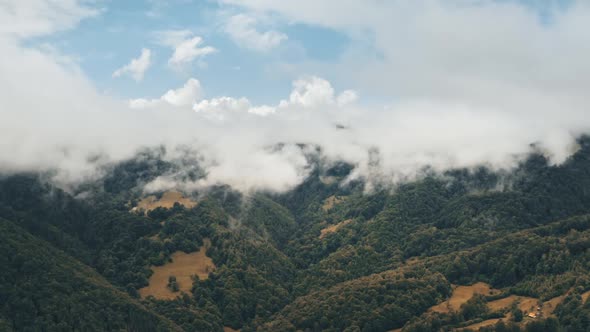 Foggy Green Forest Trees Up in Highland Mountains Blue Sky Horizon in Carpathians in Ukraine