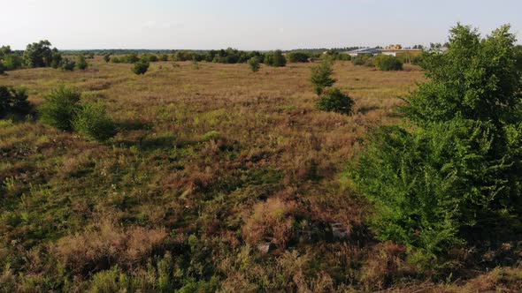 Wild Meadow and Left Old Antonov2 Airplanes at Air Base