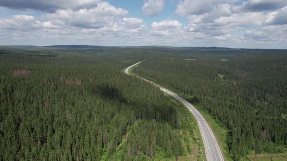 Aerial View of Scenic Road Between Green Trees with Pines on a Sunny Summer Morning