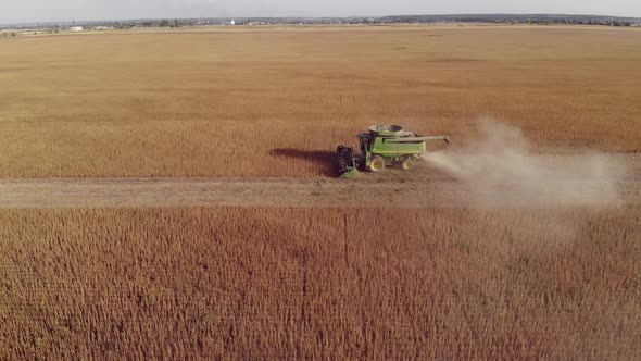 A Combine Harvests Crop in Field