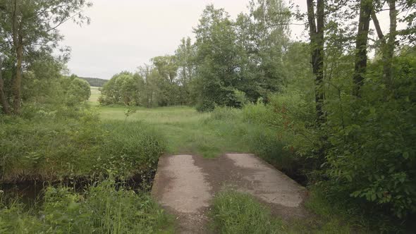 Rural road in tall grass in the forest of Bavaria