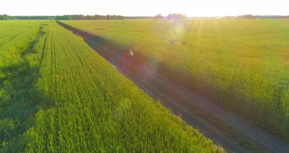 Aerial View on Young Boy That Rides a Bicycle Thru a Wheat Grass Field on the Old Rural Road