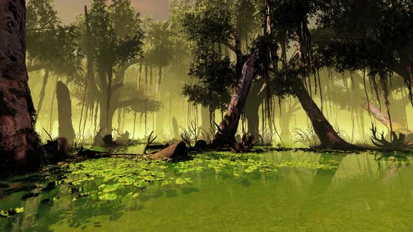Tropical Swamp And Plants alt
