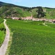 Lush green vineyards, small winding trails lead to old town. Alsace aerials - VideoHive Item for Sale