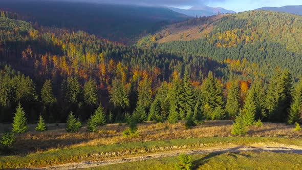 Aerial View of a Bright Autumn Forest on the Slopes of the Mountains at Sunrise