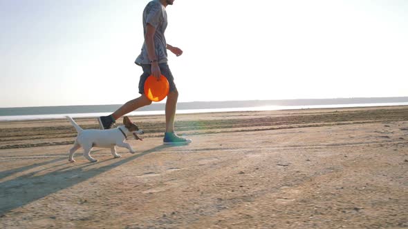 Young Happy Playing with Cute Puppy Dog Jack Russell Terrier on Beach Slow Motion