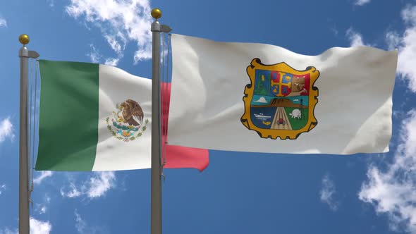 Mexico Flag Vs Tamaulipas Flag On Flagpole