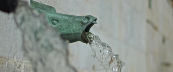 Decorative fountain in shape of a horse