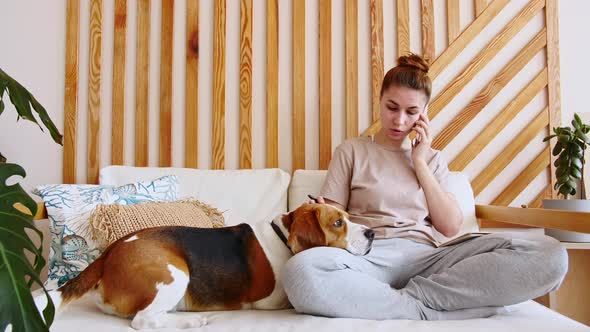 Young Woman Sitting on the Couch and Petting Her Dog Beagle While Talking By Phone